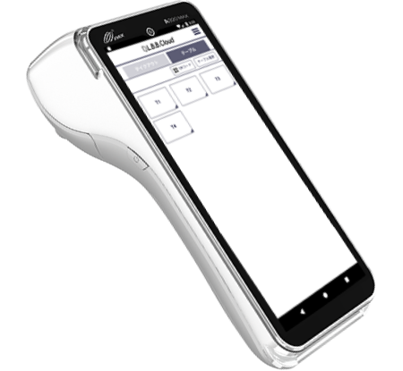 paycasmobile-image-A920MAX-1